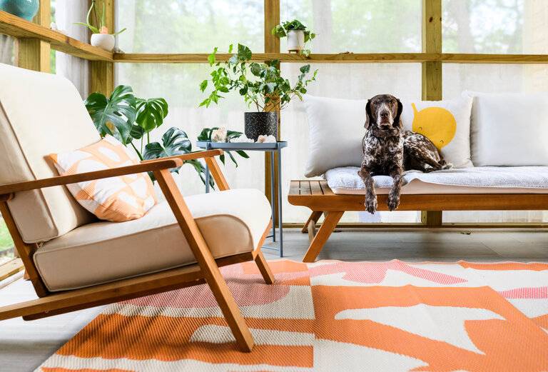 ein süßer Hund auf einem Stuhl in einer überdachten Veranda in einem Ferienhaus