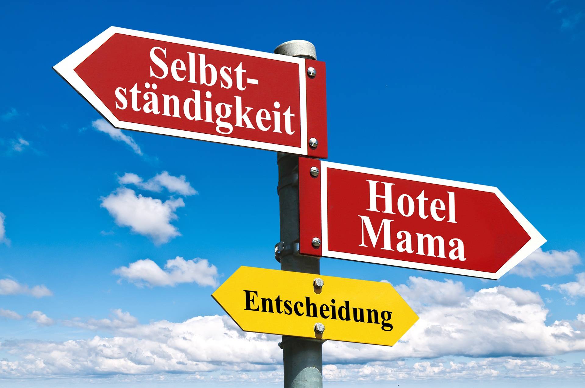 Wegweiser zeigt Lebensentscheidungen | Wandkissen